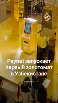 Paynet открывает новый уровень финансовых возможностей 