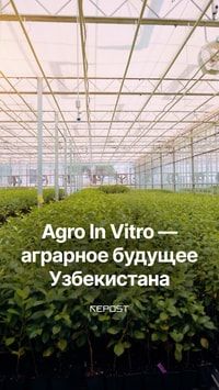 Свежайшие фрукты уникальных сортов — результат работы проекта Agro In Vitro, созданного при поддержке Agrobank