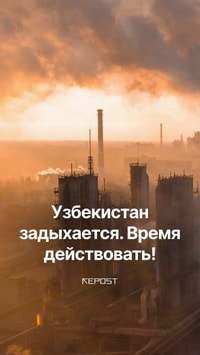 Узбекистан оказался на грани экологической катастрофы. 83% жителей Ташкента живут в условиях опасного для здоровья загрязнения воздуха. Причины — от незаконной вырубки деревьев до сжигания угля, мазута и шин. 