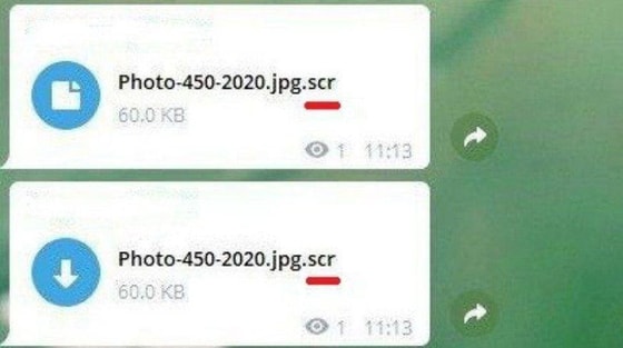 Фото: Telegram