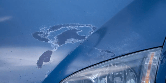 Фото: Car.ru