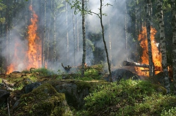 Foto: BFMTV