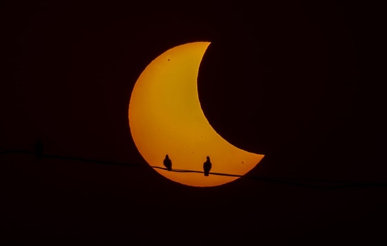 Nyu-Dehlida quyosh tutilishiFoto: AP