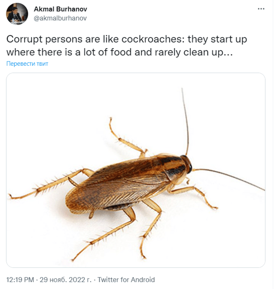 Скриншот