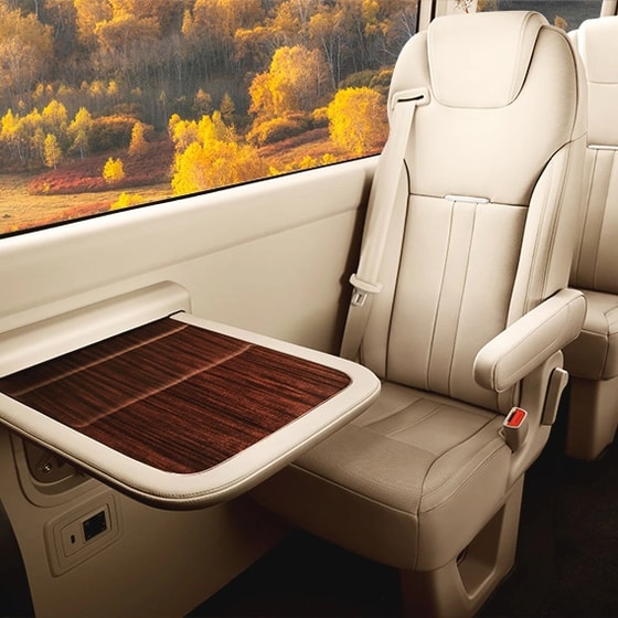 Фото: Hongqi
