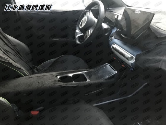 Фото: BYD