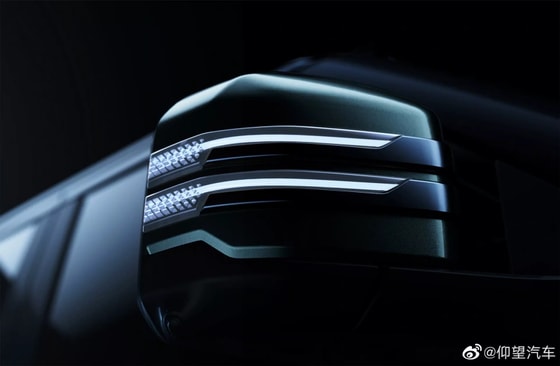 Фото: BYD