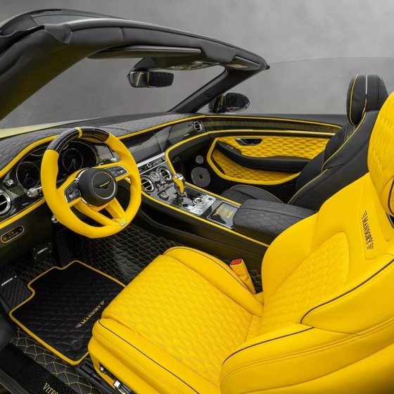 Фото: Mansory
