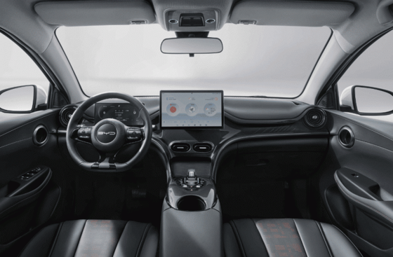 Фото: BYD