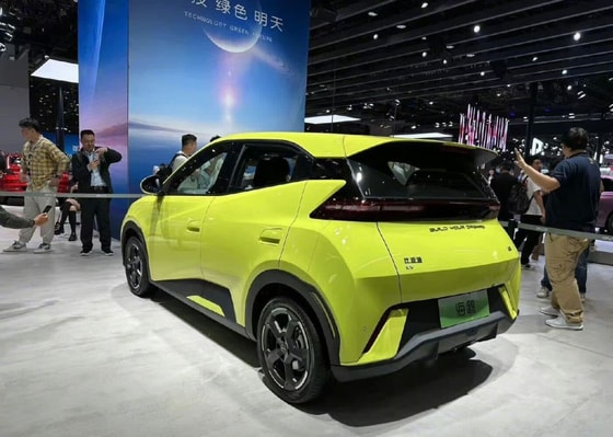 Фото: BYD