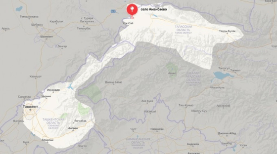 Фото: Turmush
