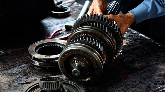 Фото: Tarantas