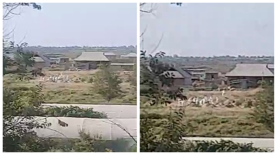 Фото: Кадры из видео