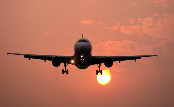 Фото: Jeff Tzu-chao Lin / imageBROKER.com / Global Look Press