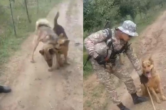 Фото: Кадр из видео