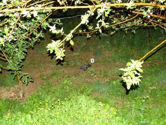 Фото: УВД Наманганской области