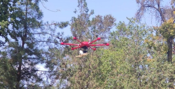 Фото: Госкомэкологии