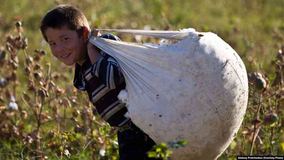 Фото: flickr.com