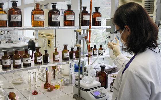 Фото: Luis Alvarenga / Getty Images