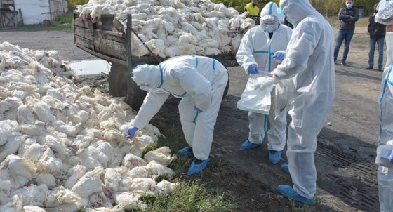 Фото: Sputnik / Елена Бережная