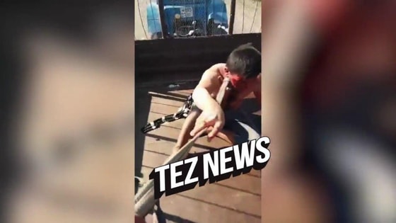 Фото: Кадр из видео