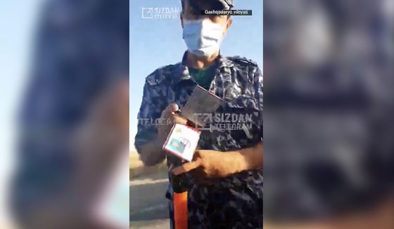 Фото: Кадр из видео