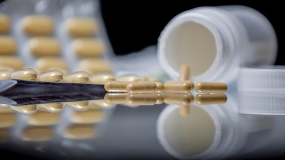 Фото: Global Look Press/Christoph Soeder/dpa