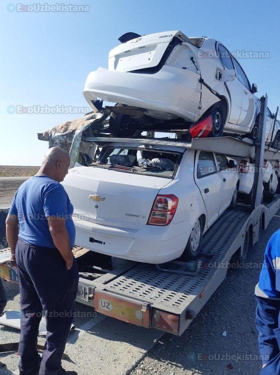 Фото: Эхо Узбекистана / Telegram