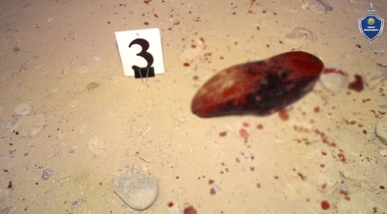 Фото:&nbsp;пресс-служба Следственного департамента при МВД