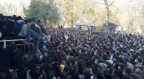 Фото: Кадр из видео