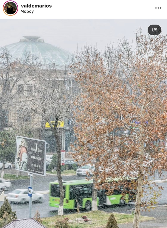 Instagram/@valdemarios