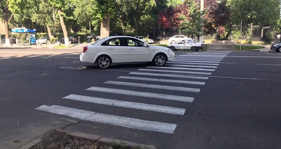 Фото: Sputnik&nbsp;