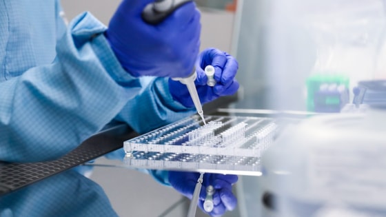 Фото: hightech.plus