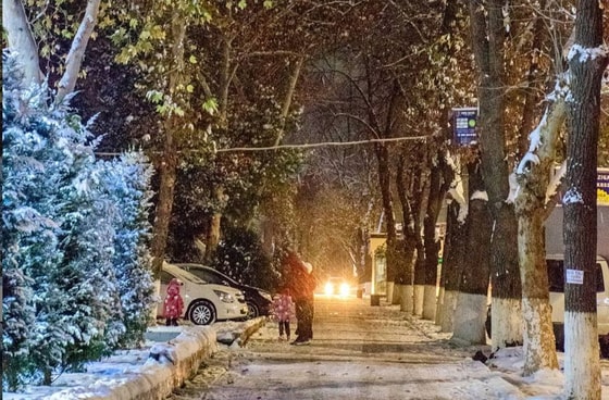 Фото: Instagram/Valdemarios