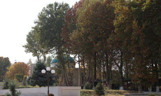 Фото: TezNews&nbsp;