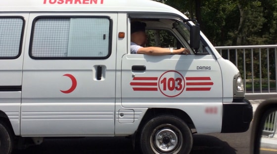 Фото иллюстративное&nbsp;