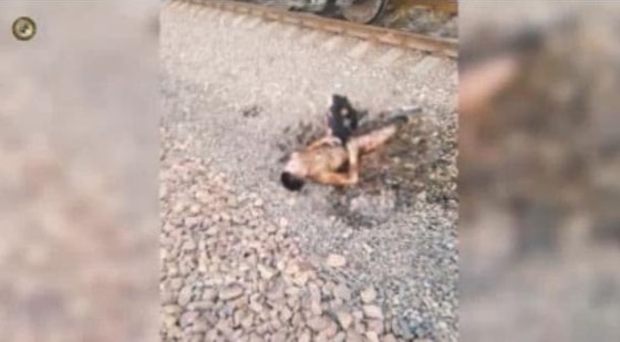 Фото: Кадр из видео