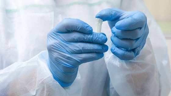 Фото: известия