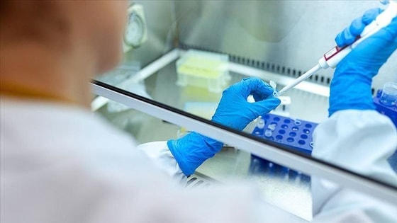 Фото:&nbsp;aa.com.tr