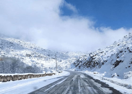 Фото: ГУБДД