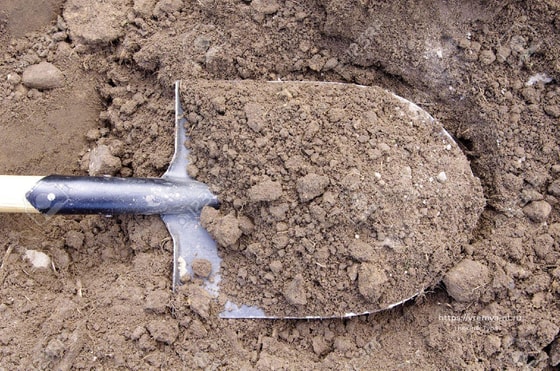 Фото: vremya-nt.ru