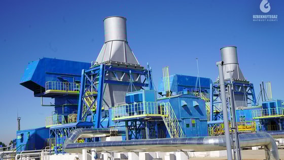 Фото:&nbsp;yuz.uz