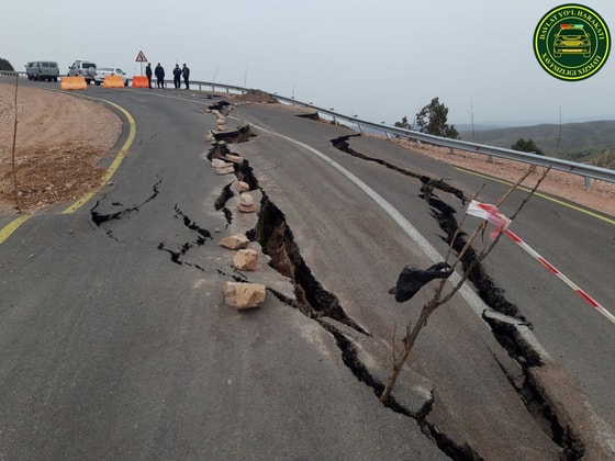 Фото:&nbsp;ГУБДД МВД Узбекистана