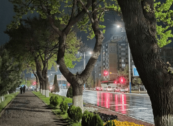 Фото: valdemarios/instagram