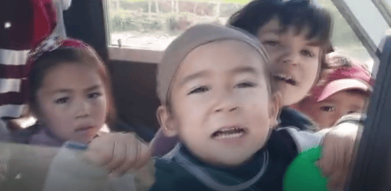 Кадр из видео