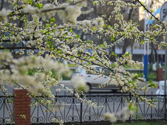 Фото:&nbsp; Рамиз Бахтияров