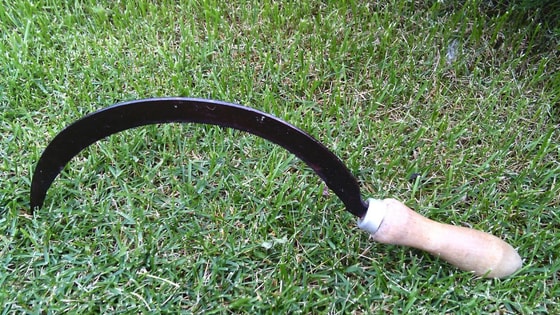 Фото: ru.publika.md