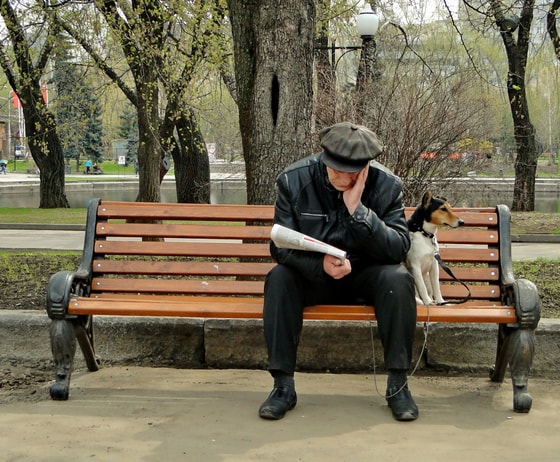 Фото: Яндекс.Дзен