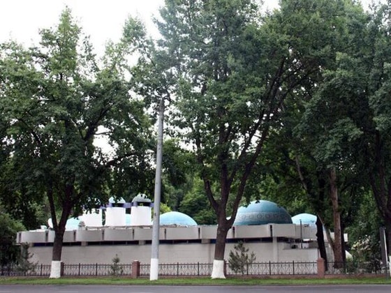 Фото: Яндекс.Новости