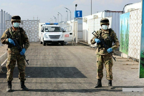 Фото: Яндекс.Дзен